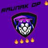 RAUNAK GAMING