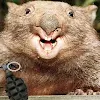 Angry Combat Wombat