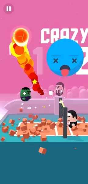 Volleyball Game - Volley Beans