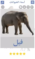 تعليم اصوات الحيوانات مع الصور