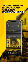 BVB
