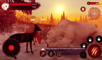 The Bear