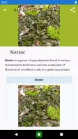 Bacteria: Types, Infections