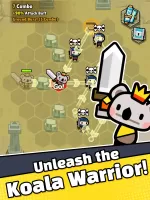 Combo Koala