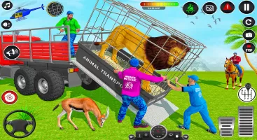 Animal Transports Truck Games