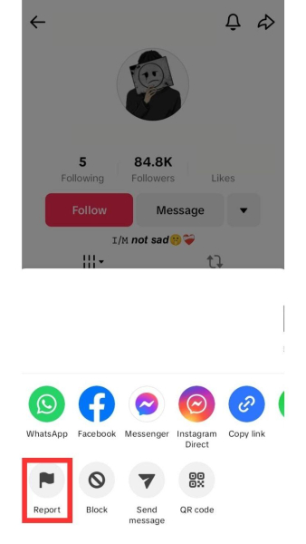 How to Report a TikTok Account: Is There a Detailed Guide to Flagging Harmful Content?