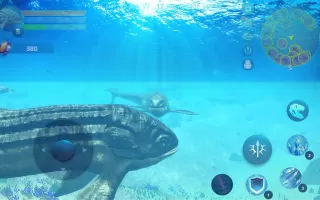 Leedsichthys Simulator
