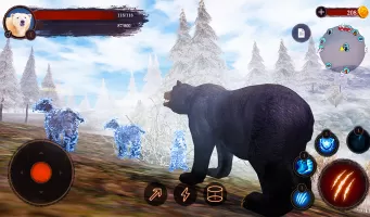 The Bear