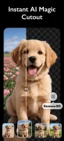 AI Photo Editor
