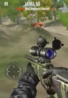 Animal Hunting Simulator Game