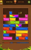 Block Puzzle