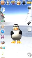 Sweet Little Talking Penguin