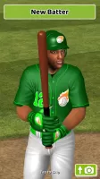 Baseball Game On