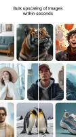 UpscaleMedia AI Photo Enhancer