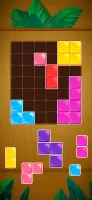 Block King - Brain Puzzle Game