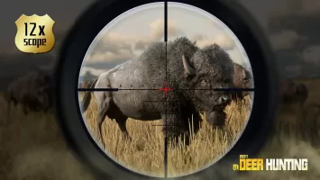 Deer Hunting