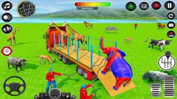 Animal Transports Truck Games
