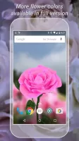 3D Rose Live Wallpaper Lite