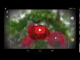 3D Rose Live Wallpaper Free