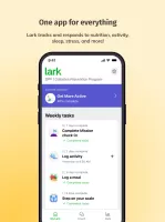 Lark