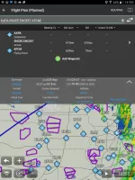Garmin Pilot