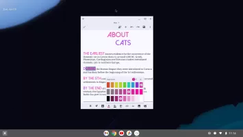 Text Editor