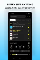 Argentinian FM Radios