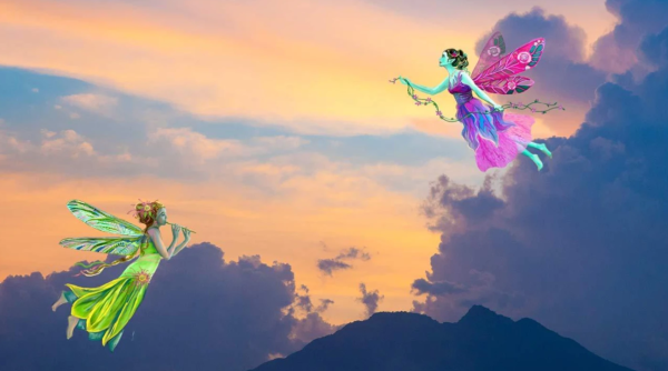 Fairy Party