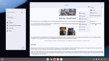 Text Editor