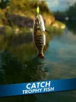 Go Fishing! Fish Game