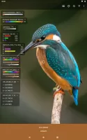 Color Picker