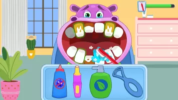 Doctor Dentist - Animal Care