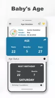Age Calculator