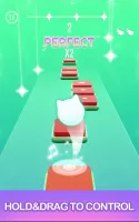 Dancing Cats