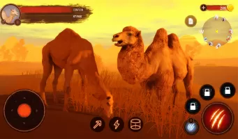 The Camel