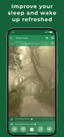 Relax Forest