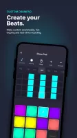 Pro Audio Editor