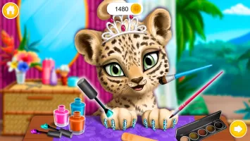 Baby Jungle Animal Hair Salon