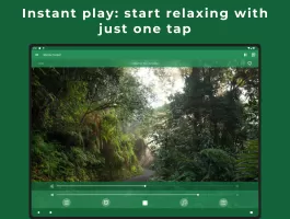 Relax Forest