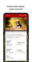 150 Animal Sounds