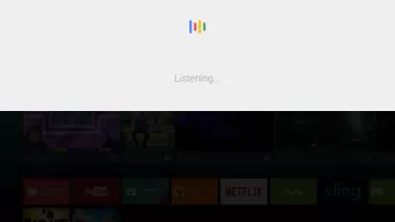 Google app for Android TV