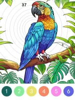 Pop Color - Paint by number