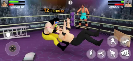 Tag Team Wrestling Game