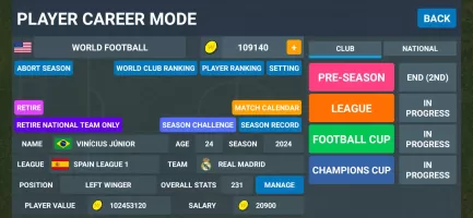 World Football Simulator