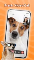 Dog Translator: Dog Sounds