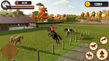 My Horse Herd Care Simulator