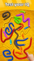 Tangled Snakes Puzzle Game