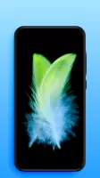 Video Live Wallpapers
