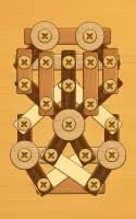 Screw Puzzle