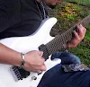 Camargo Luthier